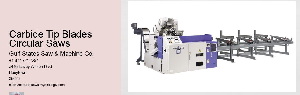 Circular Saw Dust Collection